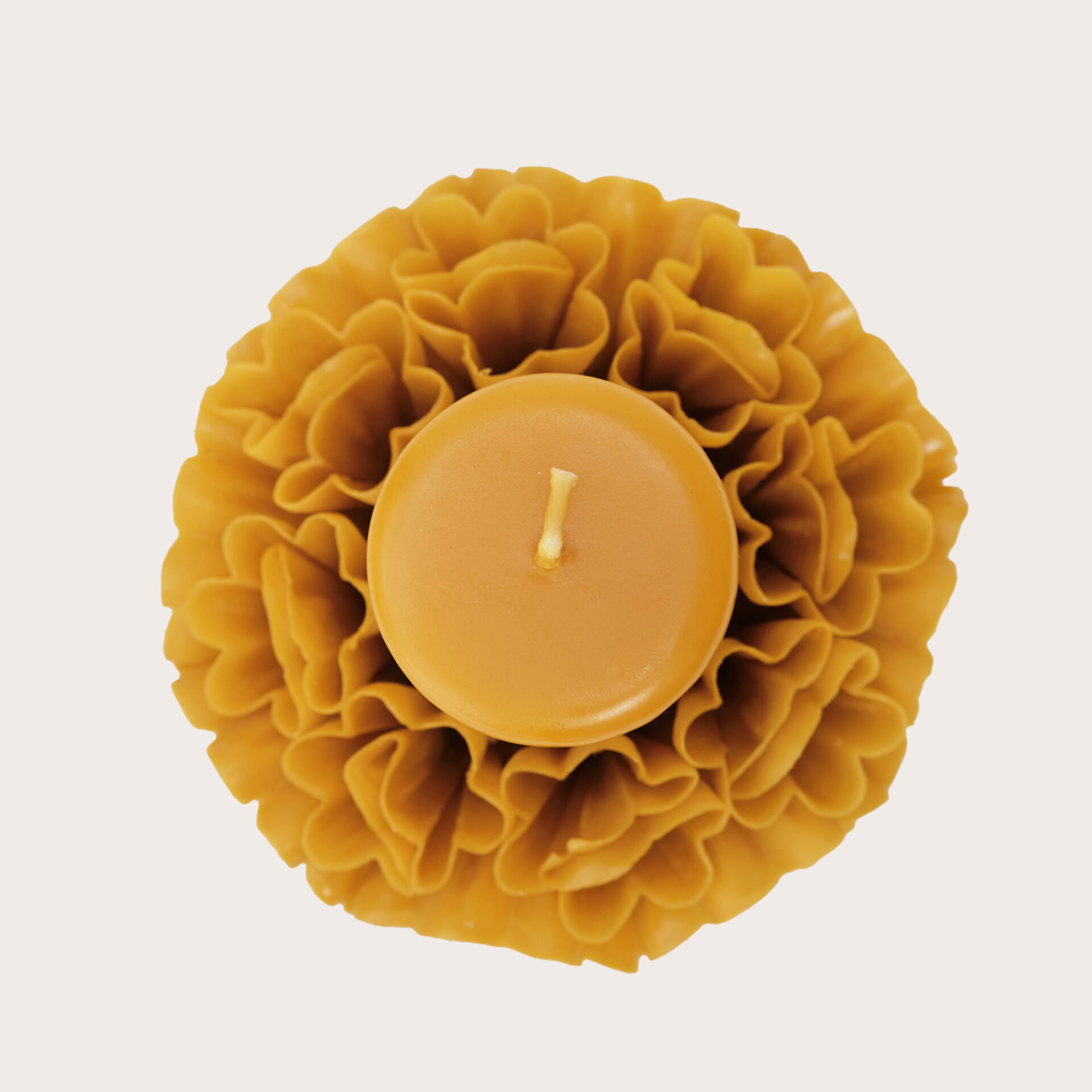 Cirio Mostaza - Image 7