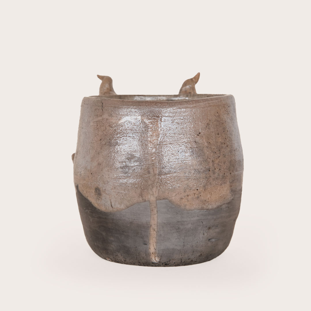 Maceta Cocijo - Image 4