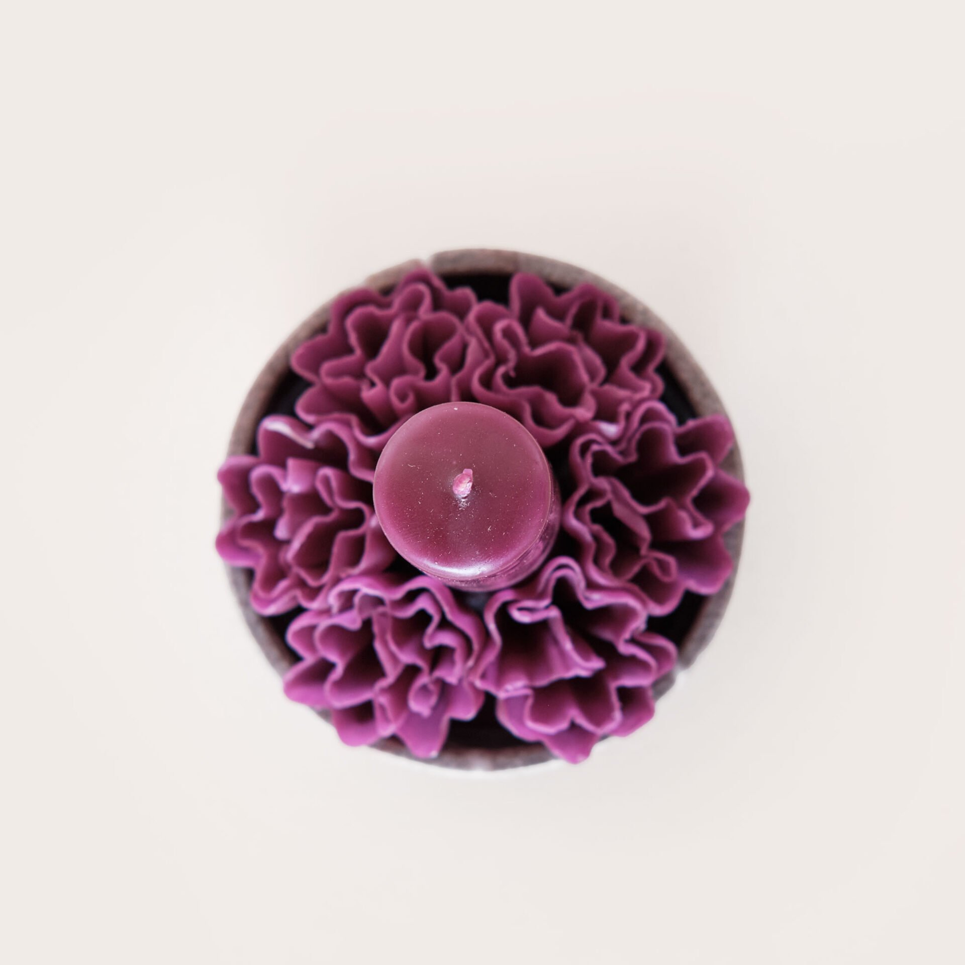 Vela morada / gris Tepeaca - Image 4