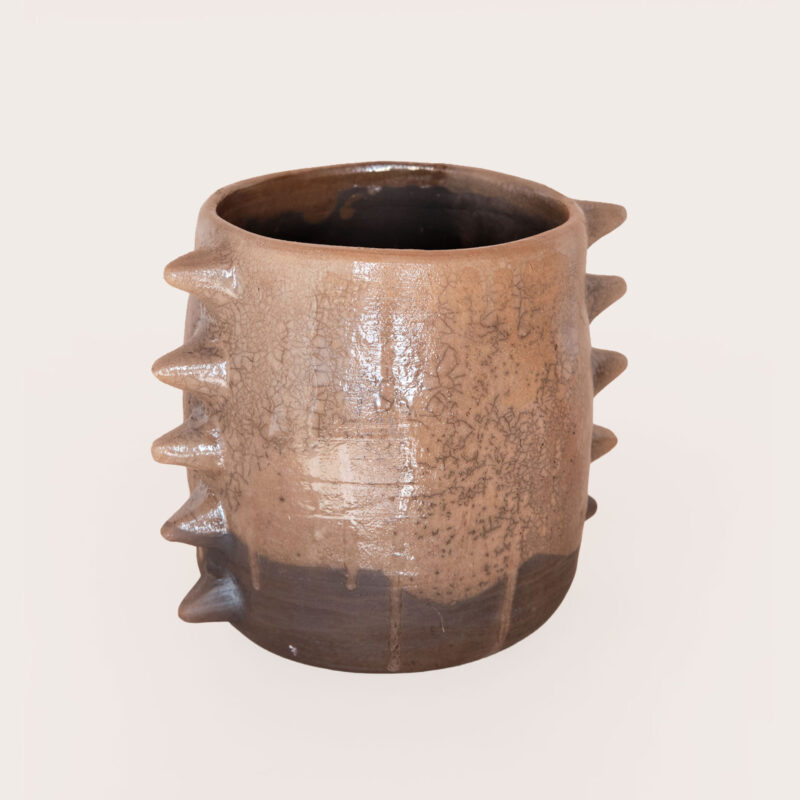 Maceta Pochote