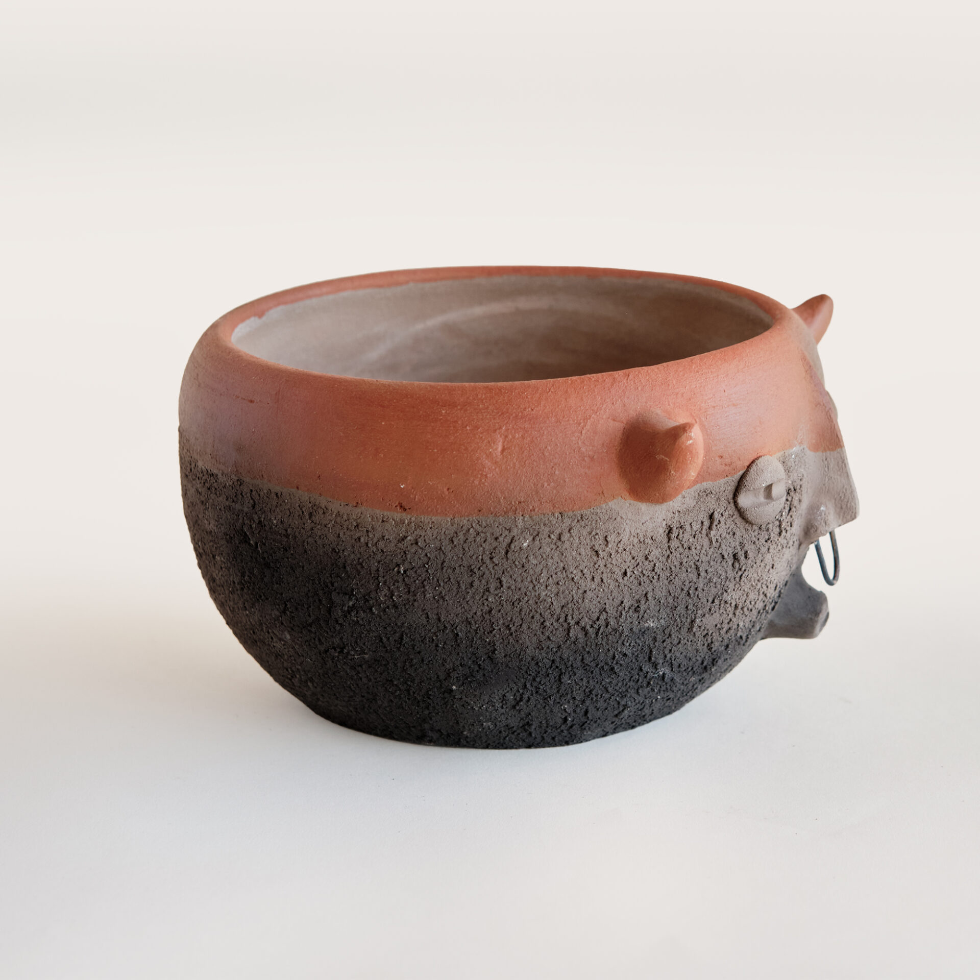 Bowl Cachu - Imagen 8